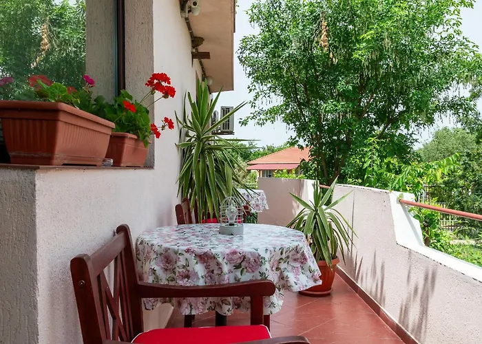 Gæstehus саша Krapets (Dobrich)