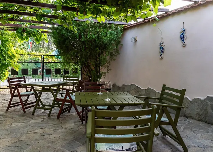 саша Guest house 3*