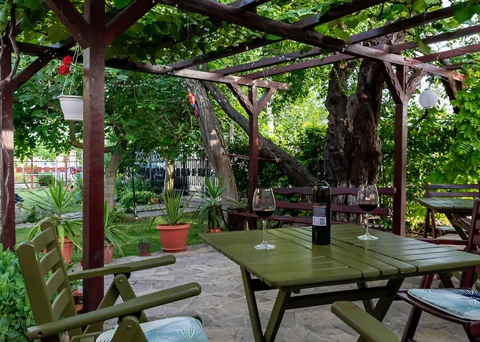 саша Guest house 3*