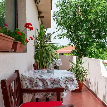 Pensión саша Krapets (Dobrich)