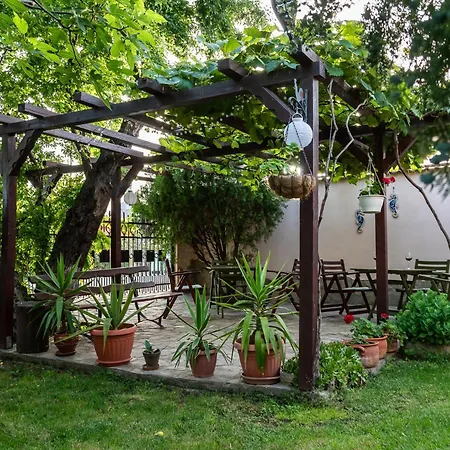 саша Pensión 3*