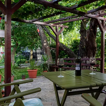 саша Pensión 3*