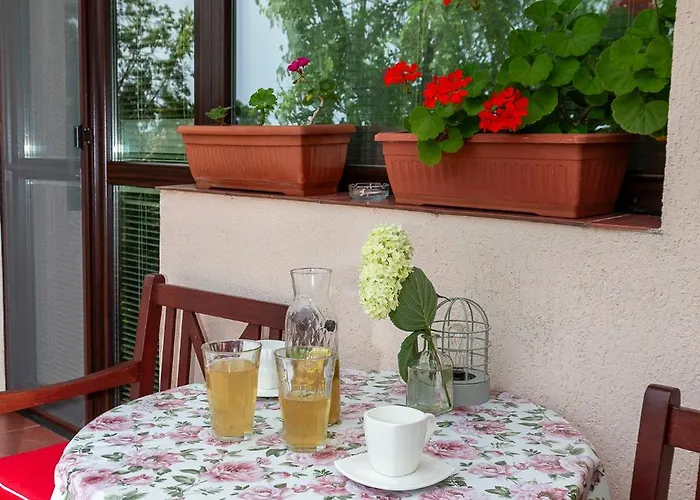 саша Къща за гости