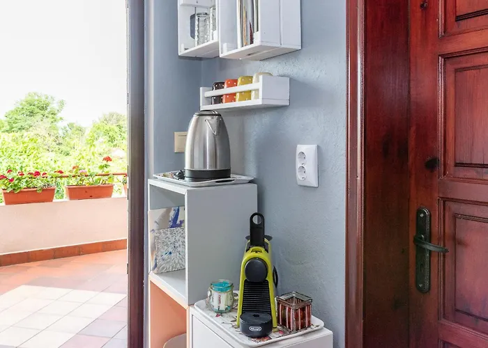 саша 3* Крапец