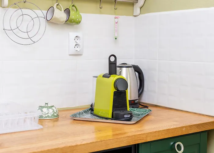 саша Къща за гости 3*